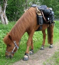 ursl-studinger_10.jpg