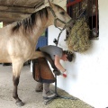 ursl-studinger_08.jpg
